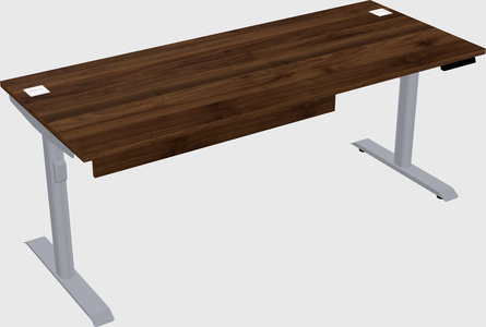 Dual motor electric desk