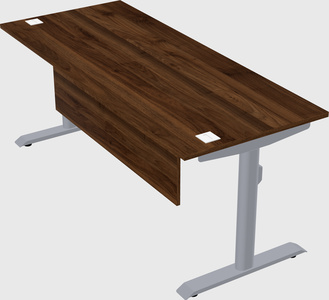 Dual motor electric desk