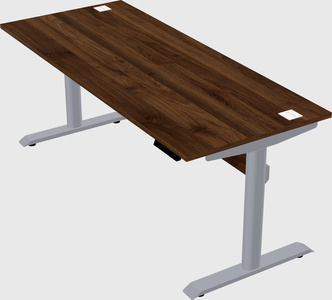 Dual motor electric desk