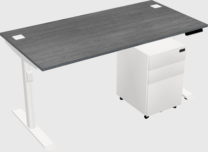 Dual motor electric desk