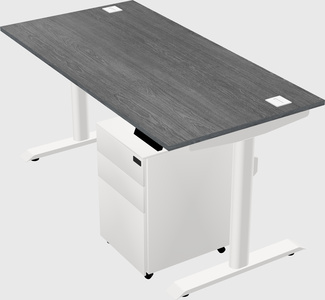 Dual motor electric desk