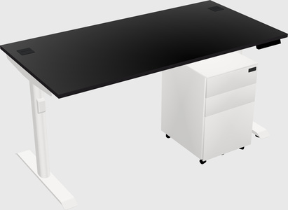 Dual Motor Electric Desk