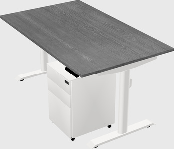 Dual motor electric desk