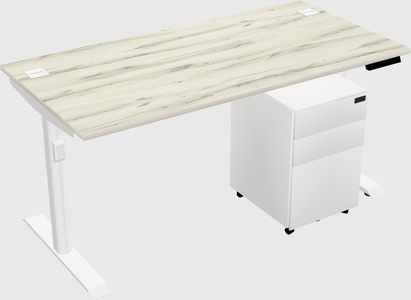 Dual Motor Electric Desk