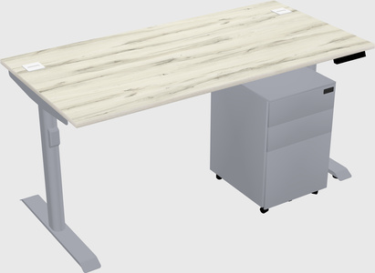 Dual motor electric desk