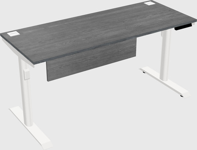 Dual motor electric desk