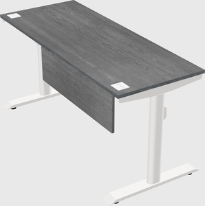 Dual motor electric desk