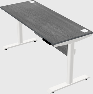 Dual motor electric desk