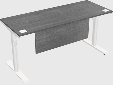 Dual motor electric desk