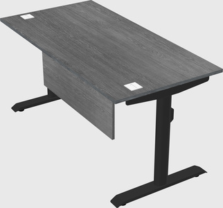 Dual motor electric desk