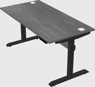 Dual motor electric desk