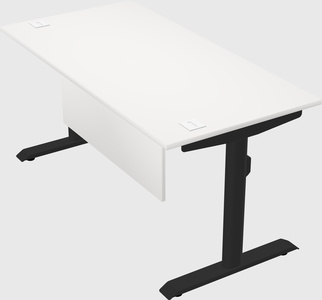 Dual motor electric desk