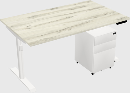 Dual Motor Electric Desk