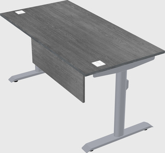 Dual motor electric desk