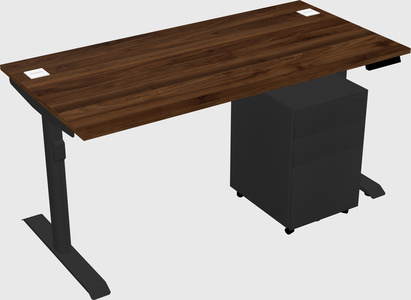 Dual motor electric desk