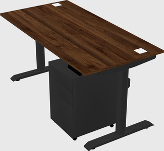 Dual motor electric desk