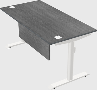Dual motor electric desk