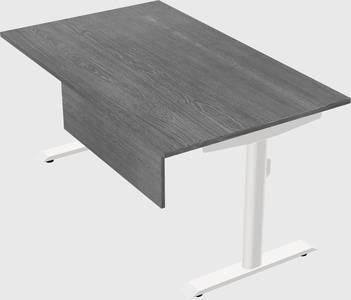 Dual motor electric desk