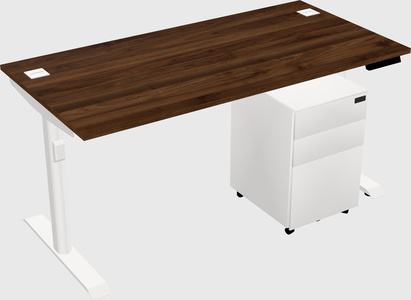 Dual motor electric desk