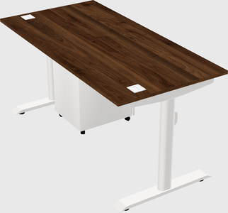 Dual motor electric desk