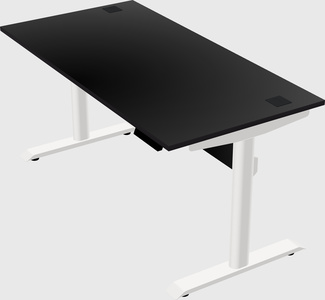 Dual motor electric desk