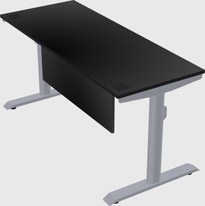 Dual motor electric desk