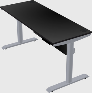 Dual motor electric desk