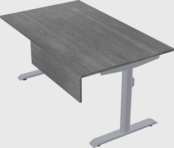 Dual motor electric desk