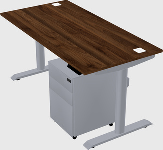 Dual motor electric desk