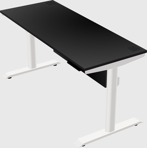 Dual motor electric desk