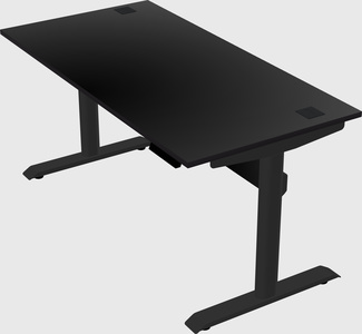 Dual motor electric desk