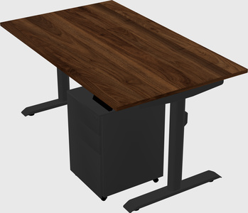 Dual motor electric desk