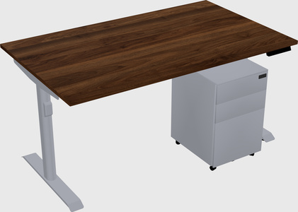 Dual motor electric desk