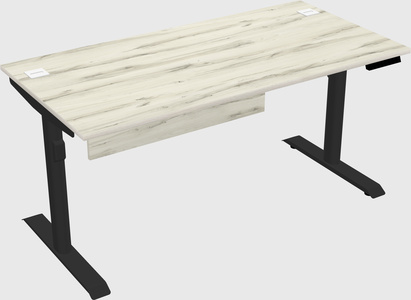 Dual motor electric desk