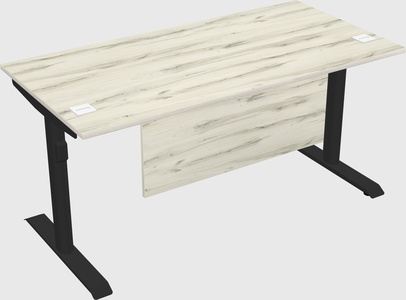 Dual motor electric desk