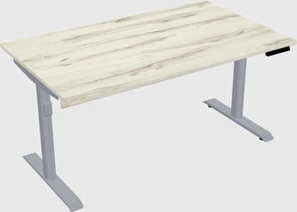 Dual motor electric desk