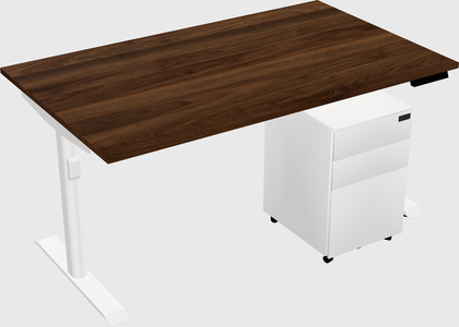 Dual Motor Electric Desk