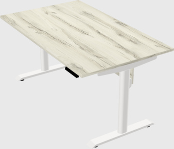 Dual motor electric desk