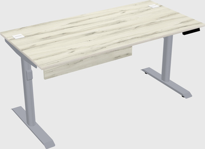 Dual motor electric desk