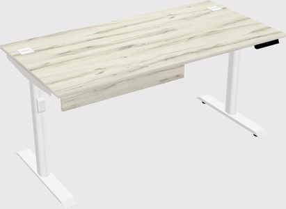Dual motor electric desk