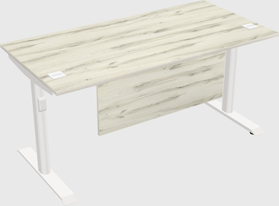 Dual motor electric desk