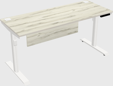 Dual motor electric desk