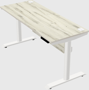 Dual motor electric desk