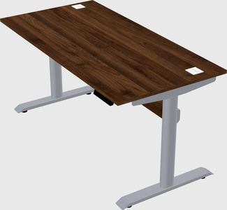 Dual motor electric desk
