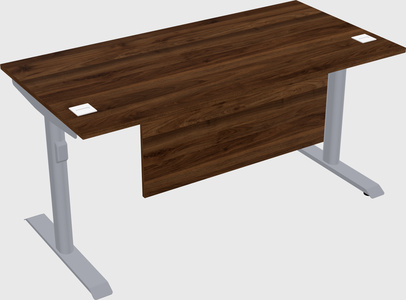 Dual motor electric desk