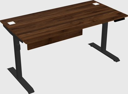 Dual motor electric desk