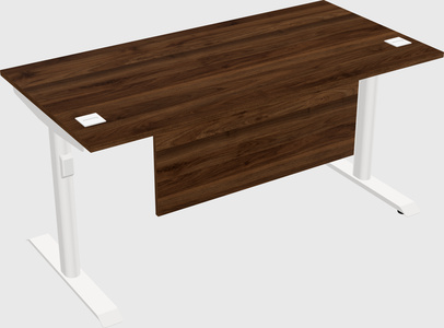 Dual motor electric desk