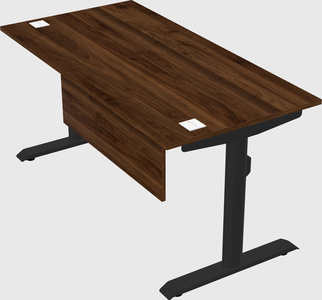 Dual motor electric desk