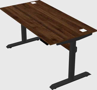 Dual motor electric desk