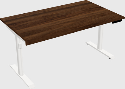 Dual motor electric desk
